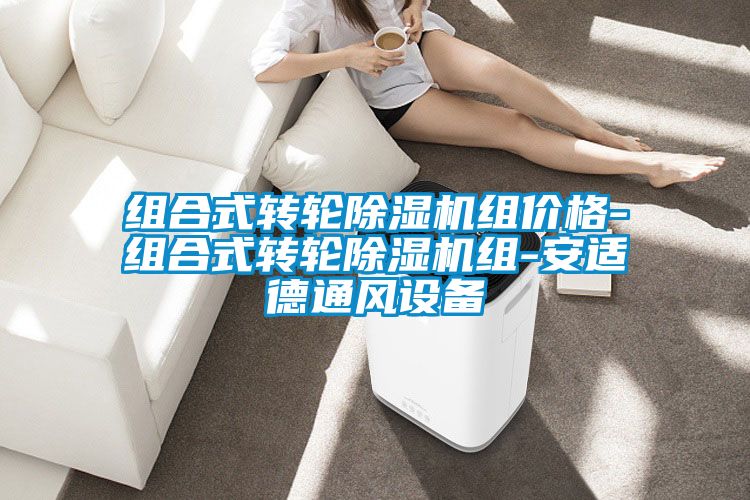 组合式转轮麻豆视频黄网站组价格-组合式转轮麻豆视频黄网站组-安适德通风设备