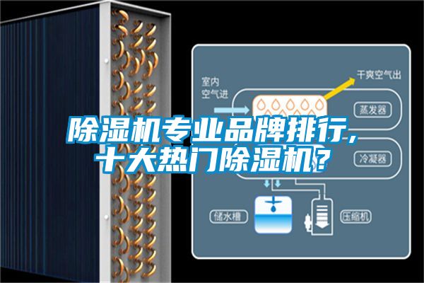 麻豆视频黄网站专业品牌排行,十大热门麻豆视频黄网站？