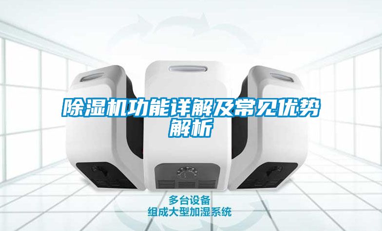 麻豆视频黄网站功能详解及常见优势解析