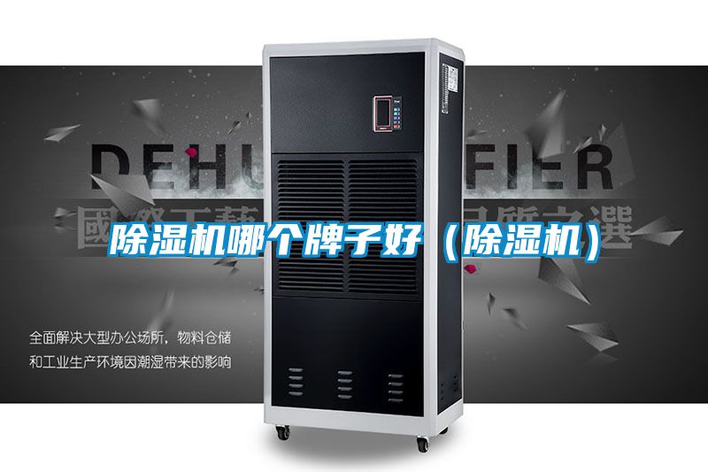 麻豆视频黄网站哪个牌子好（麻豆视频黄网站）