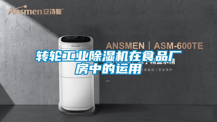 转轮工业麻豆视频黄网站在食品厂房中的运用