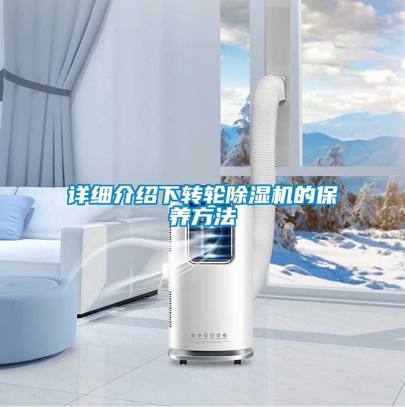 详细介绍下转轮麻豆视频黄网站的保养方法