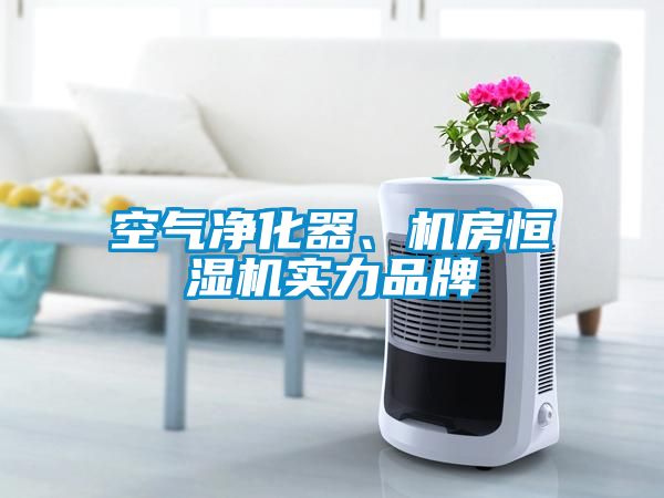 空气净化器、机房恒湿机实力品牌
