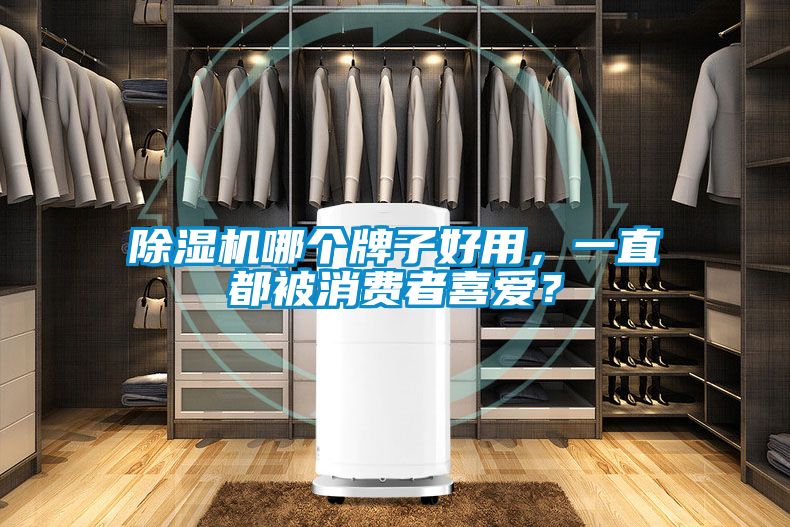 麻豆视频黄网站哪个牌子好用，一直都被消费者喜爱？