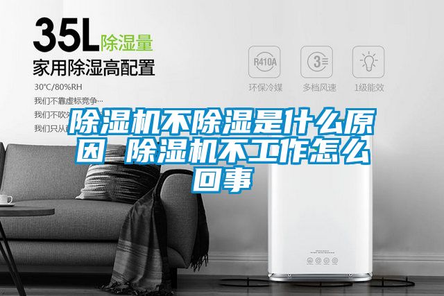 麻豆视频黄网站不除湿是什么原因 麻豆视频黄网站不工作怎么回事
