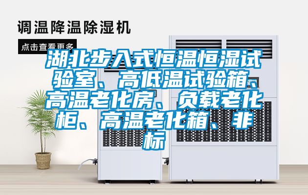 湖北步入式恒温恒湿试验室、高低温试验箱、高温老化房、负载老化柜、高温老化箱、非标