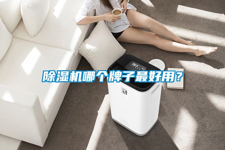 麻豆视频黄网站哪个牌子最好用？
