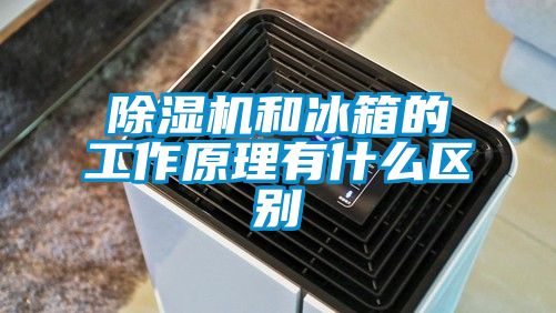 麻豆视频黄网站和冰箱的工作原理有什么区别