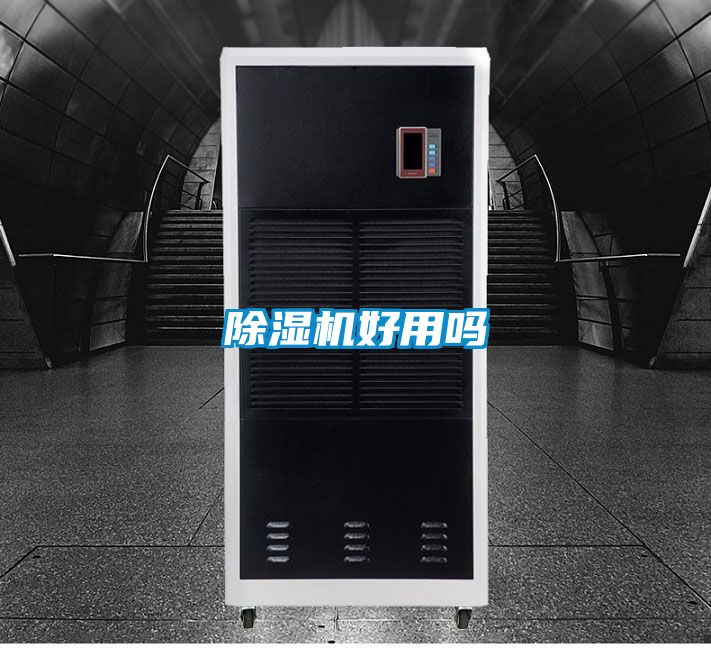 麻豆视频黄网站好用吗
