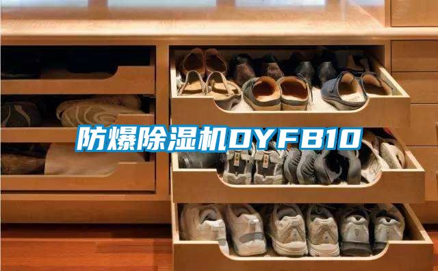 防爆麻豆视频黄网站DYFB10