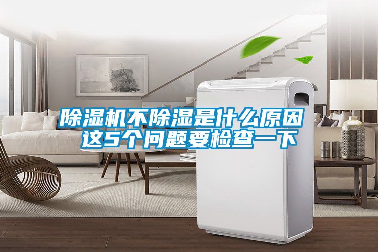 麻豆视频黄网站不除湿是什么原因 这5个问题要检查一下