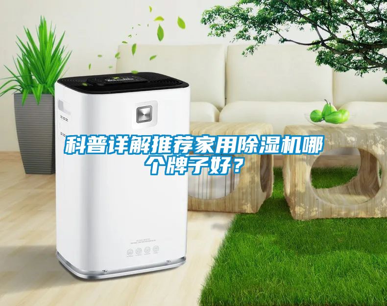 科普详解推荐家用麻豆视频黄网站哪个牌子好？