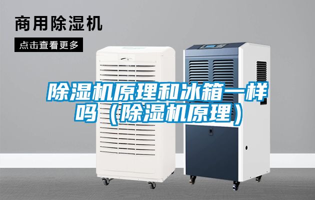 麻豆视频黄网站原理和冰箱一样吗（麻豆视频黄网站原理）