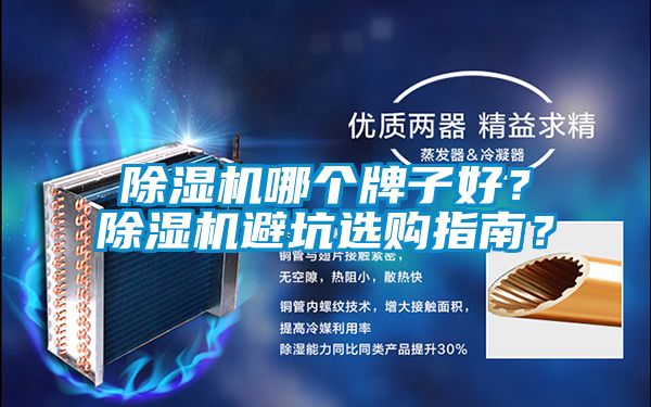麻豆视频黄网站哪个牌子好？麻豆视频黄网站避坑选购指南？