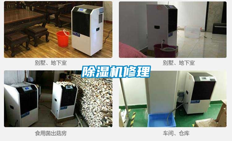 麻豆视频黄网站修理