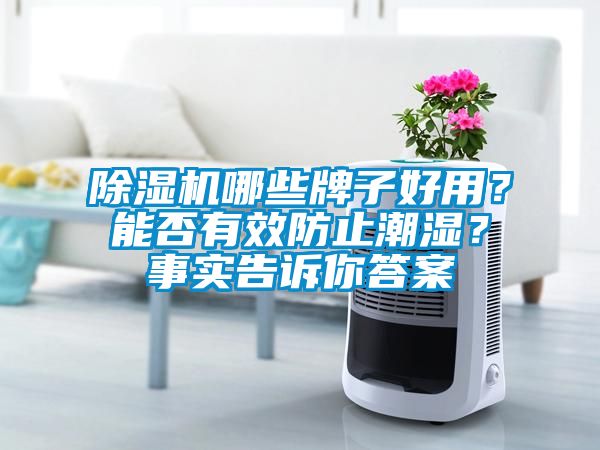 麻豆视频黄网站哪些牌子好用？能否有效防止潮湿？事实告诉你答案