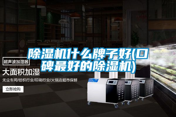 麻豆视频黄网站什么牌子好(口碑最好的麻豆视频黄网站)