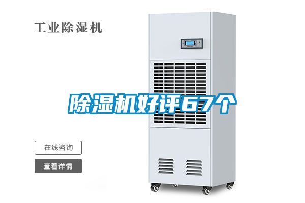 麻豆视频黄网站好评67个