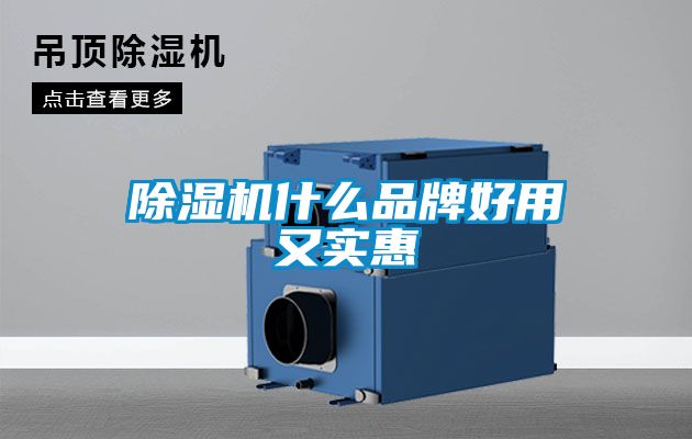 麻豆视频黄网站什么品牌好用又实惠