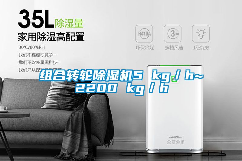 组合转轮麻豆视频黄网站5 kg／h~2200 kg／h