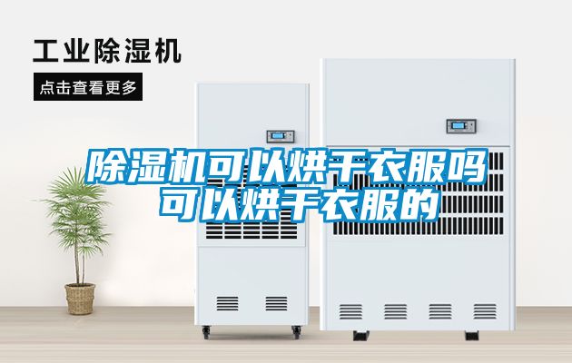 麻豆视频黄网站可以烘干衣服吗 可以烘干衣服的