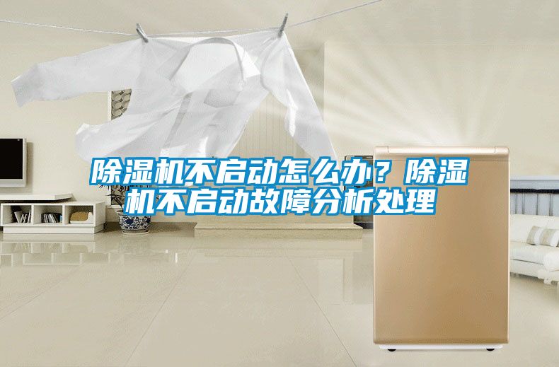 麻豆视频黄网站不启动怎么办？麻豆视频黄网站不启动故障分析处理