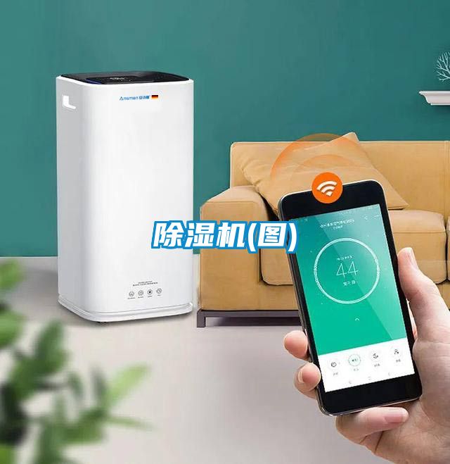 麻豆视频黄网站(图)