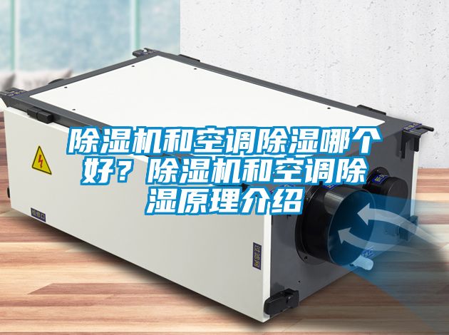 麻豆视频黄网站和空调除湿哪个好？麻豆视频黄网站和空调除湿原理介绍