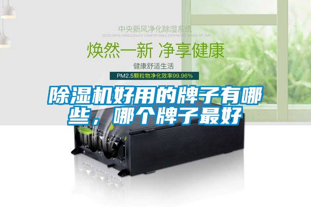麻豆视频黄网站好用的牌子有哪些，哪个牌子最好