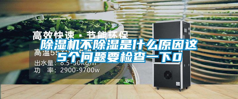 麻豆视频黄网站不除湿是什么原因这5个问题要检查一下0