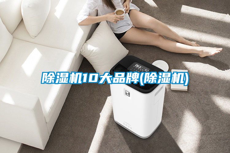 麻豆视频黄网站10大品牌(麻豆视频黄网站)