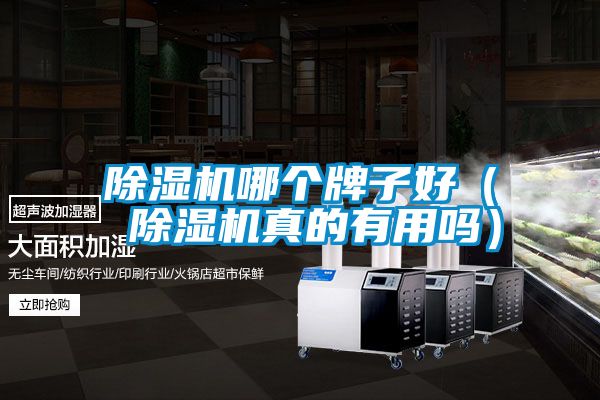 麻豆视频黄网站哪个牌子好（ 麻豆视频黄网站真的有用吗）