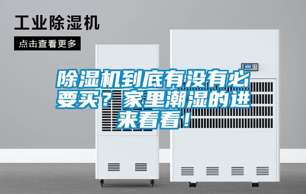 麻豆视频黄网站到底有没有必要买？家里潮湿的进来看看！