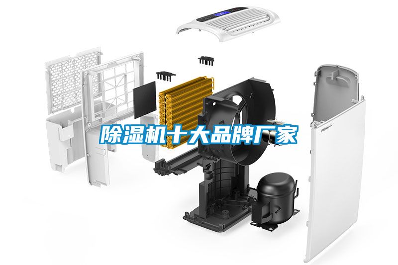 麻豆视频黄网站十大品牌厂家