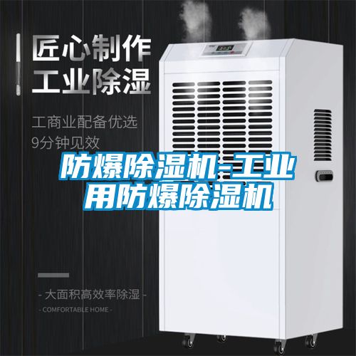 防爆麻豆视频黄网站-工业用防爆麻豆视频黄网站