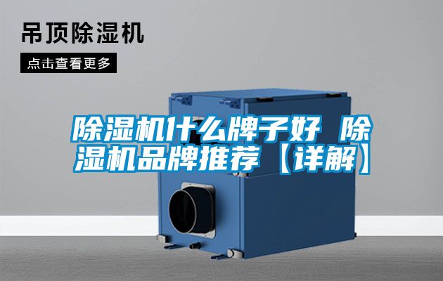 麻豆视频黄网站什么牌子好 麻豆视频黄网站品牌推荐【详解】