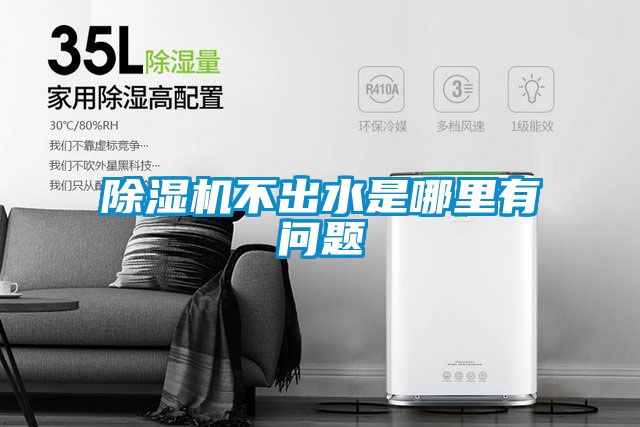 麻豆视频黄网站不出水是哪里有问题