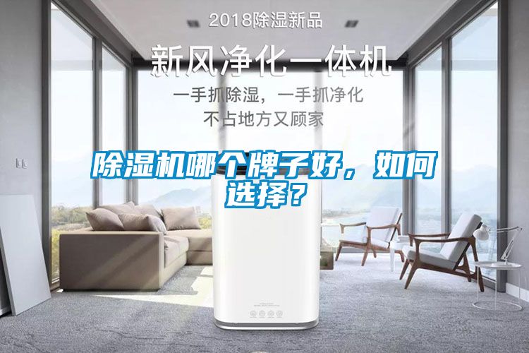 麻豆视频黄网站哪个牌子好，如何选择？