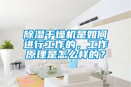 除湿干燥机是如何进行工作的，工作原理是怎么样的？