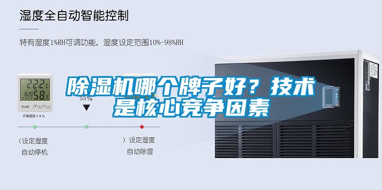 麻豆视频黄网站哪个牌子好？技术是核心竞争因素