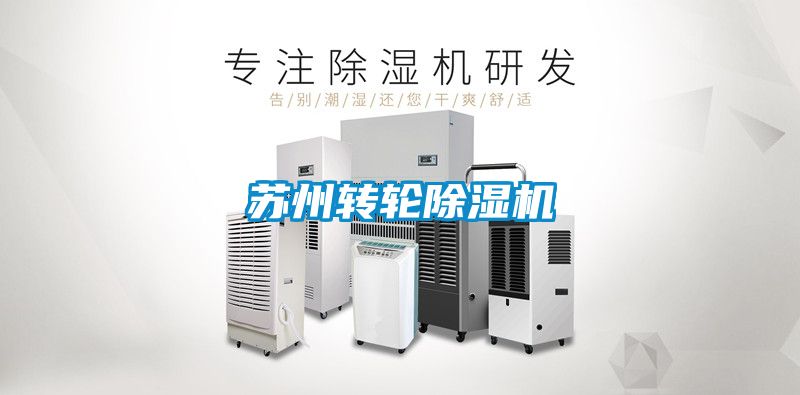 苏州转轮麻豆视频黄网站