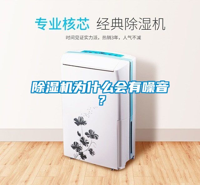麻豆视频黄网站为什么会有噪音？