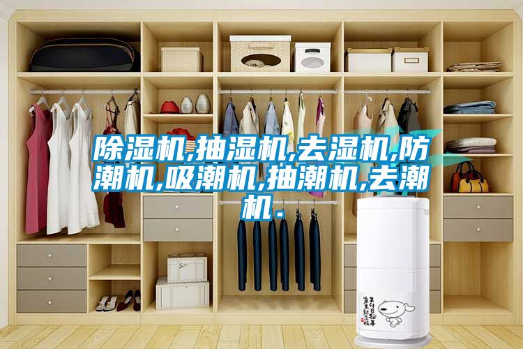 麻豆视频黄网站,抽湿机,去湿机,防潮机,吸潮机,抽潮机,去潮机．