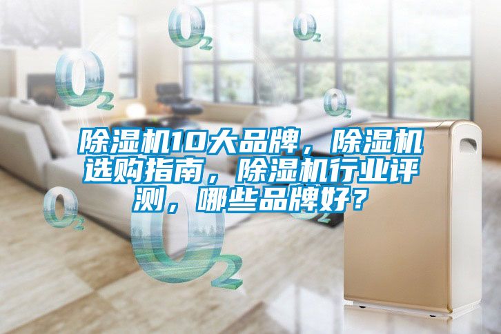 麻豆视频黄网站10大品牌，麻豆视频黄网站选购指南，麻豆视频黄网站行业评测，哪些品牌好？