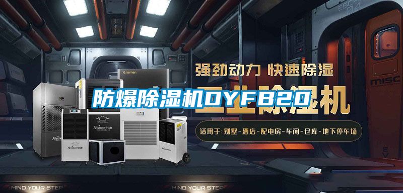 防爆麻豆视频黄网站DYFB20