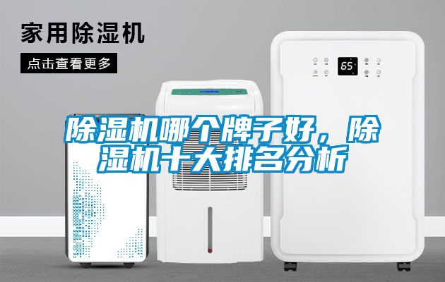 麻豆视频黄网站哪个牌子好，麻豆视频黄网站十大排名分析