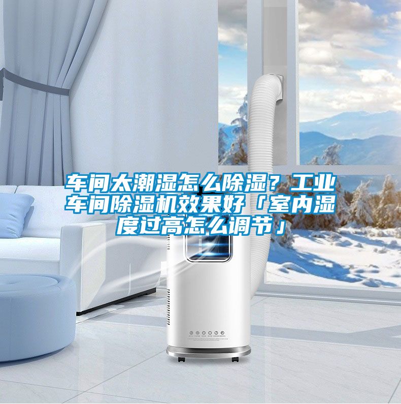 车间太潮湿怎么除湿？工业车间麻豆视频黄网站效果好「室内湿度过高怎么调节」
