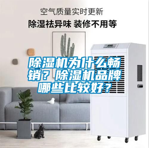 麻豆视频黄网站为什么畅销？麻豆视频黄网站品牌哪些比较好？