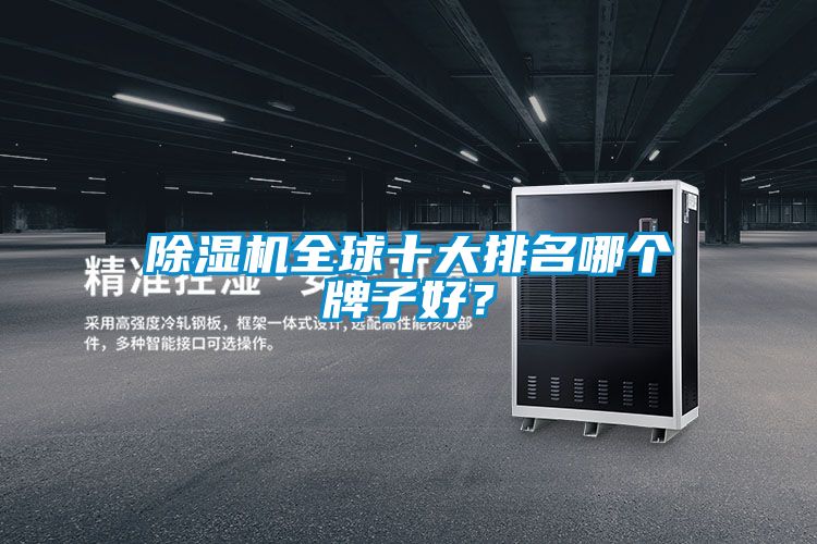 麻豆视频黄网站全球十大排名哪个牌子好？