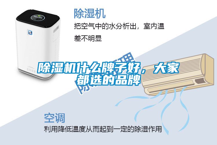 麻豆视频黄网站什么牌子好，大家都选的品牌